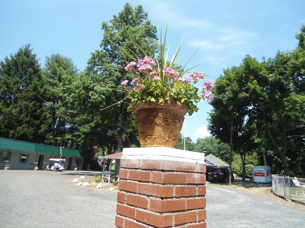 Motel Flower Field And Cottages