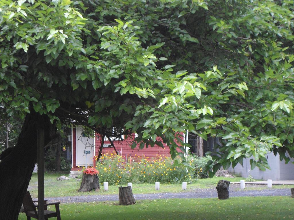 Motel Flower Field And Cottages