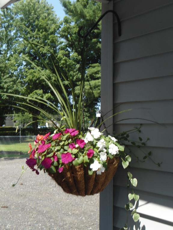 Flower Field And Cottages 3*