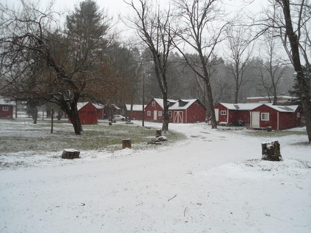 Motel Flower Field And Cottages